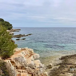 Centre Croisette Emplacement Exceptionnel Cannes